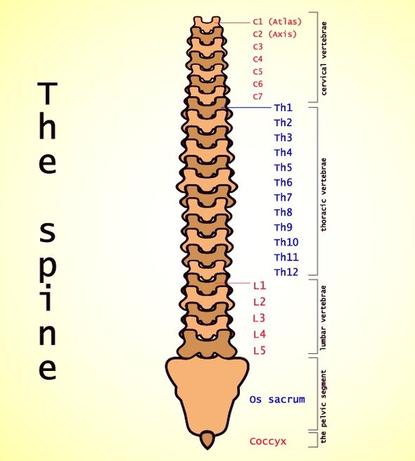 osteochondrosis lumbar